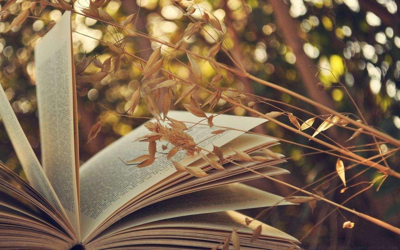 v2-b05d7a53ddb8e02f7b1a9423364c4e99_1440w.jpg?source=172ae18b