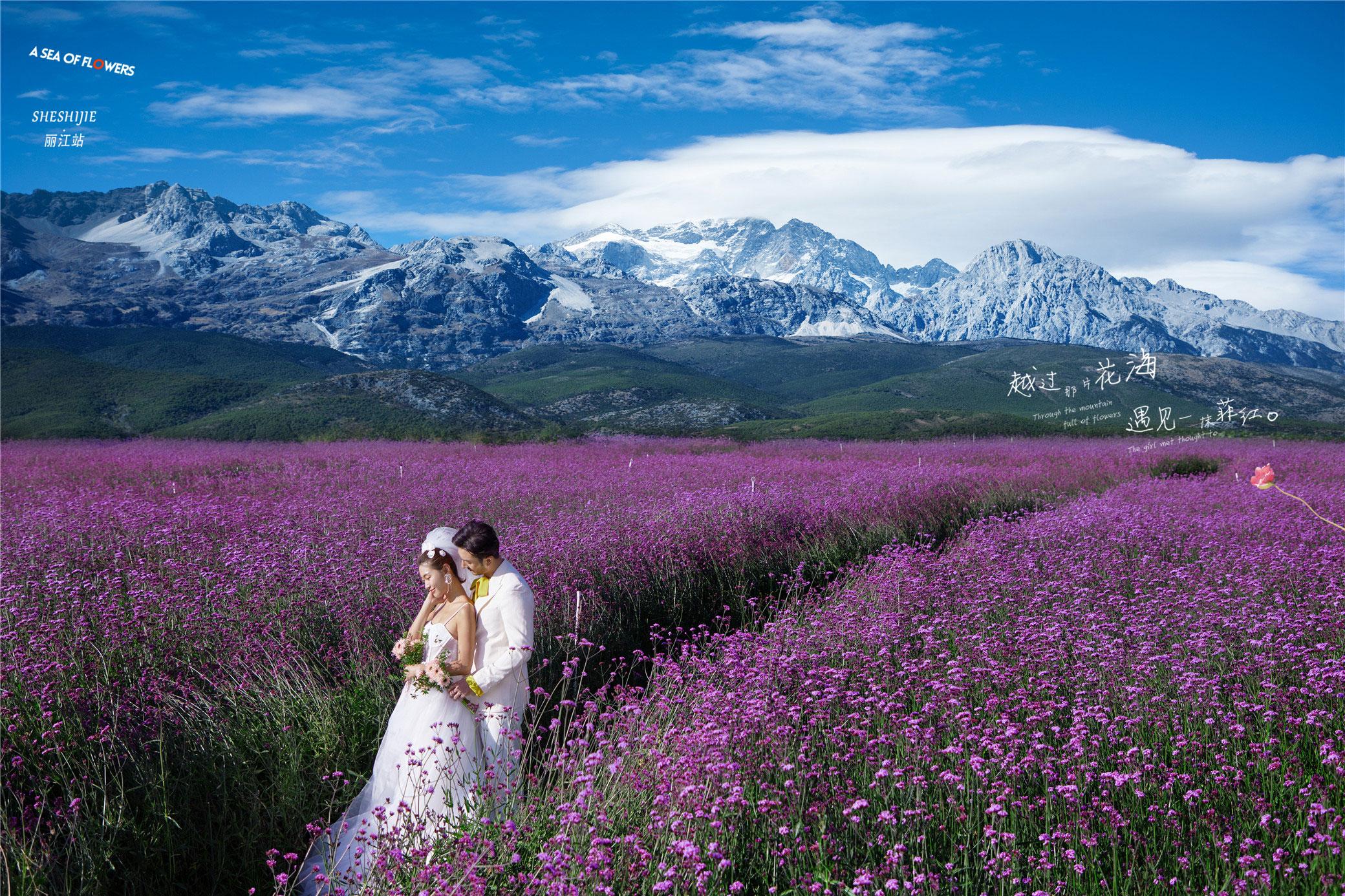 遇见绝美丽江花海,怎么拍婚纱照才好看呢?这篇线上旅拍课堂讲的很透彻