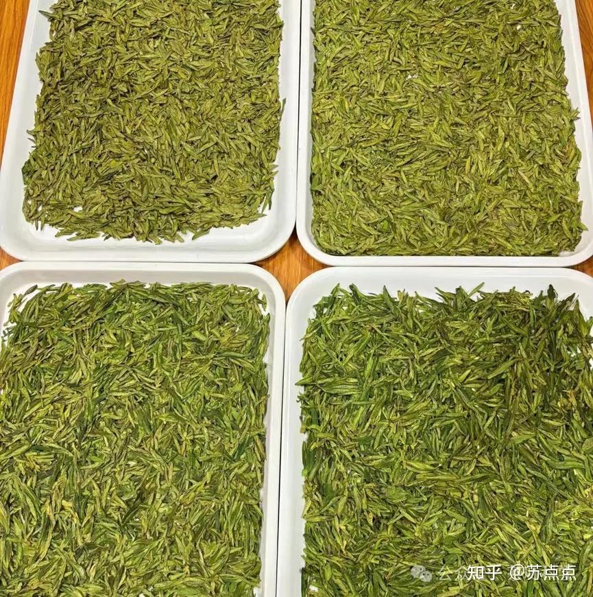 龙井茶正统之争龙井茶与乌牛早是什么关系