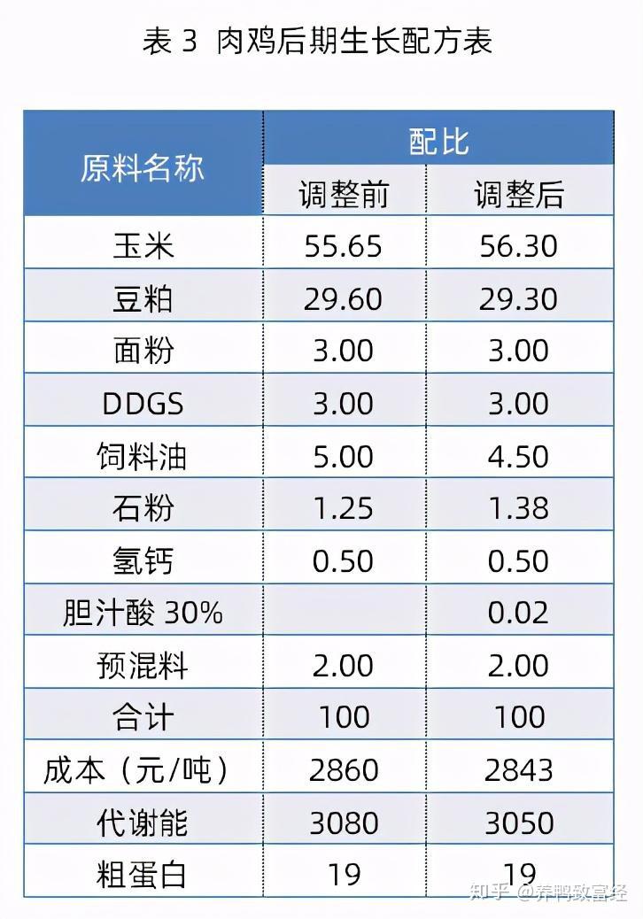 白羽肉鸡料肉比图片