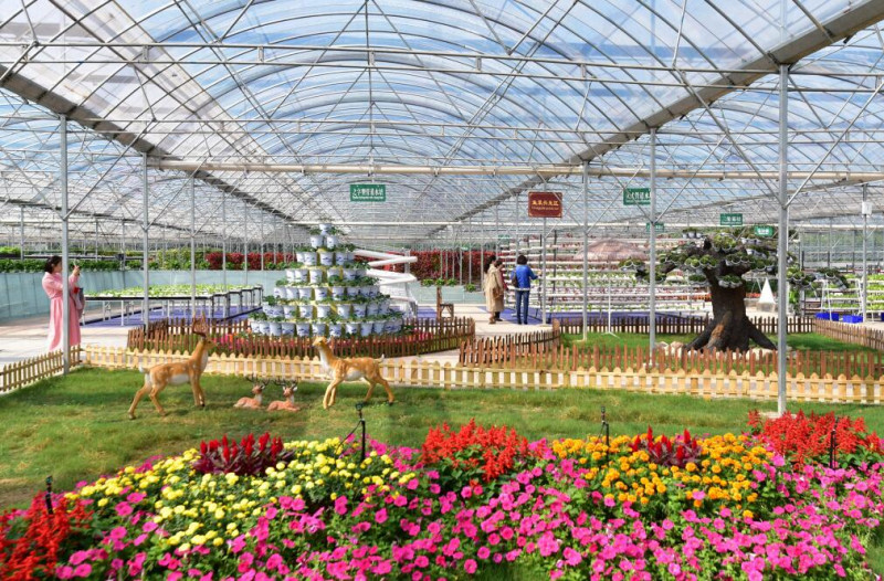 孟津 建设现代农业产业园 引领乡村产业振兴