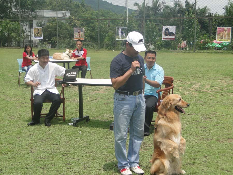 训犬讲堂第七课犬匍匐前进的训练 知乎