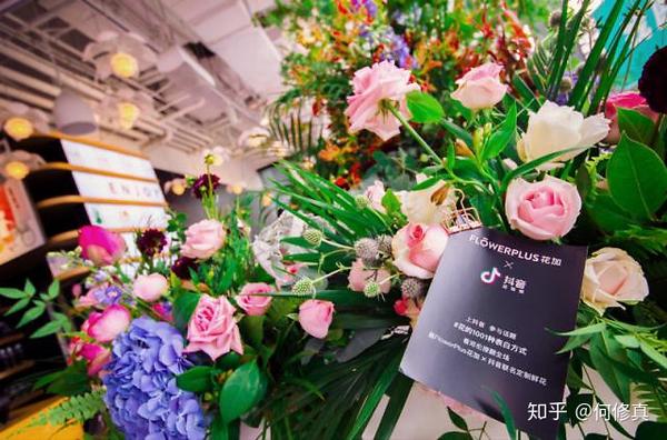 玫瑰花B2C第三国际品牌金钱豹带你追寻玫瑰花B2C金融行业的幼苗_chan_(玫瑰花国际品牌代营运)