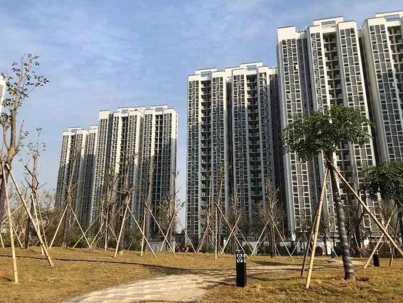 预计三季度开售3大共有产权房价格出炉白云番禺都有
