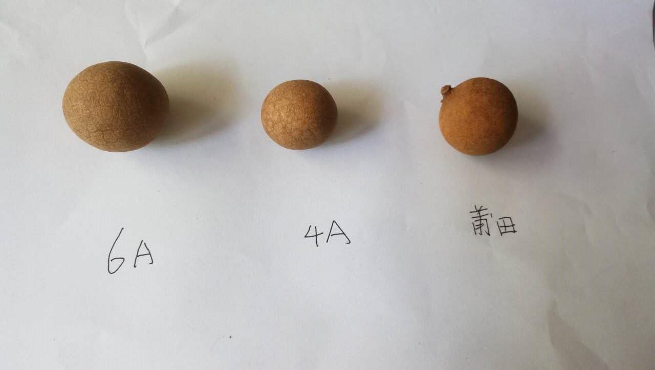 龙眼干价格,桂圆干一斤多少钱?