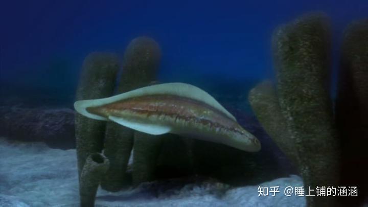 以目前的水平,可以确定鱼类出现得比开花植物更早吗? 7 v2 b096fe4fef12c6ca1f6ec34ef7ca2d80 720w
