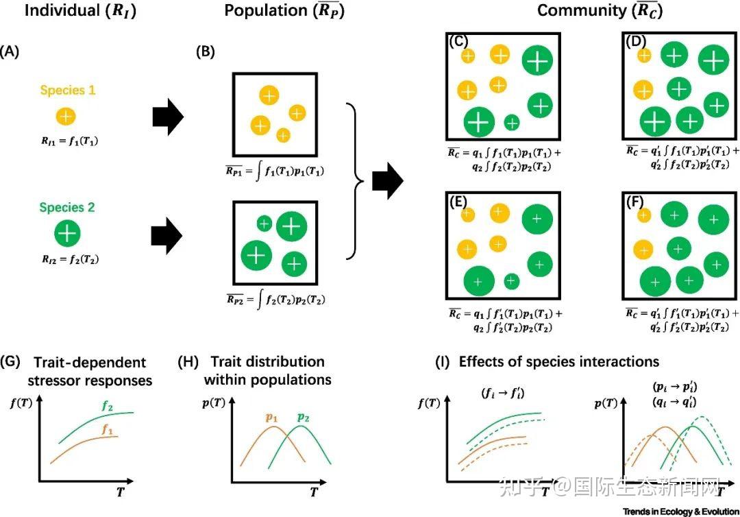 北京大学王少鹏团队Trends in Ecology & Evolution综述:环境胁迫对生态系统的积极作用 - 知乎