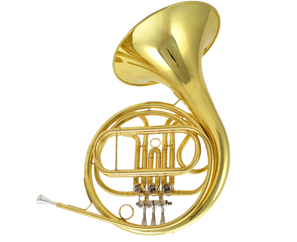 【2023】圆号选择指南:详解圆号好学吗?圆号品牌有哪些?