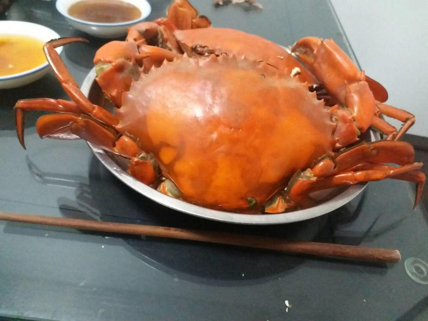 尝鲜：东海野生红膏蟹。-搜狐大视野-搜狐新闻