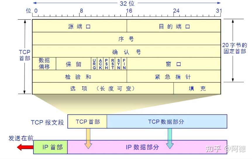 一篇文章说清楚TCP/IP层次结构及数据构成 - 知乎