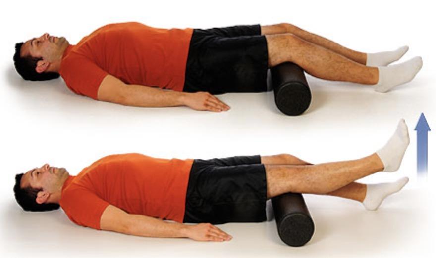 膝痛患者必须重视的肌肉股内侧肌