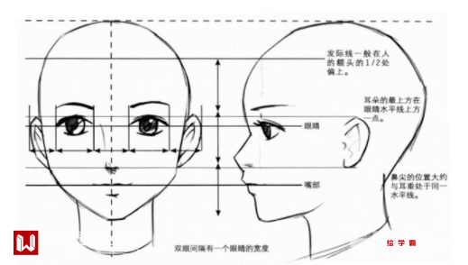 動漫人物五官比例怎麼確定五官比例畫法教程