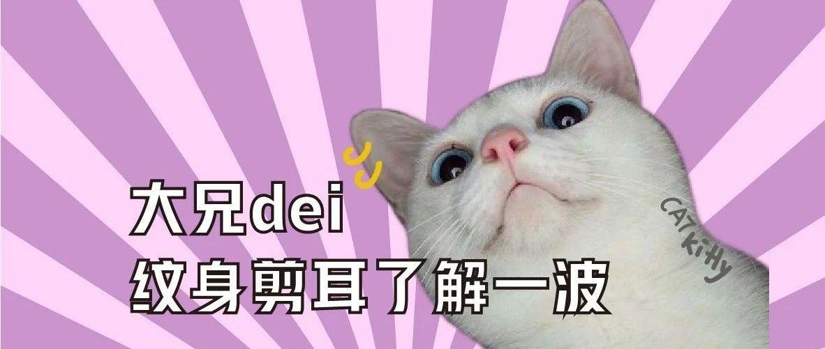 v2-b11c1711b8be3b5439626c61e150523c_1440w.jpg?source=172ae18b