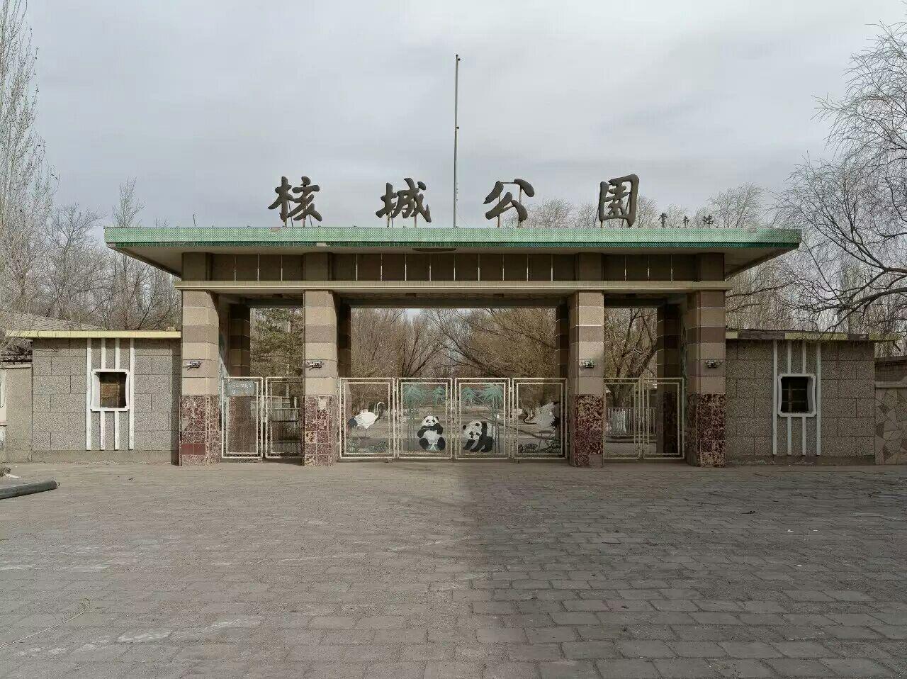 我的摄影观 - 知乎