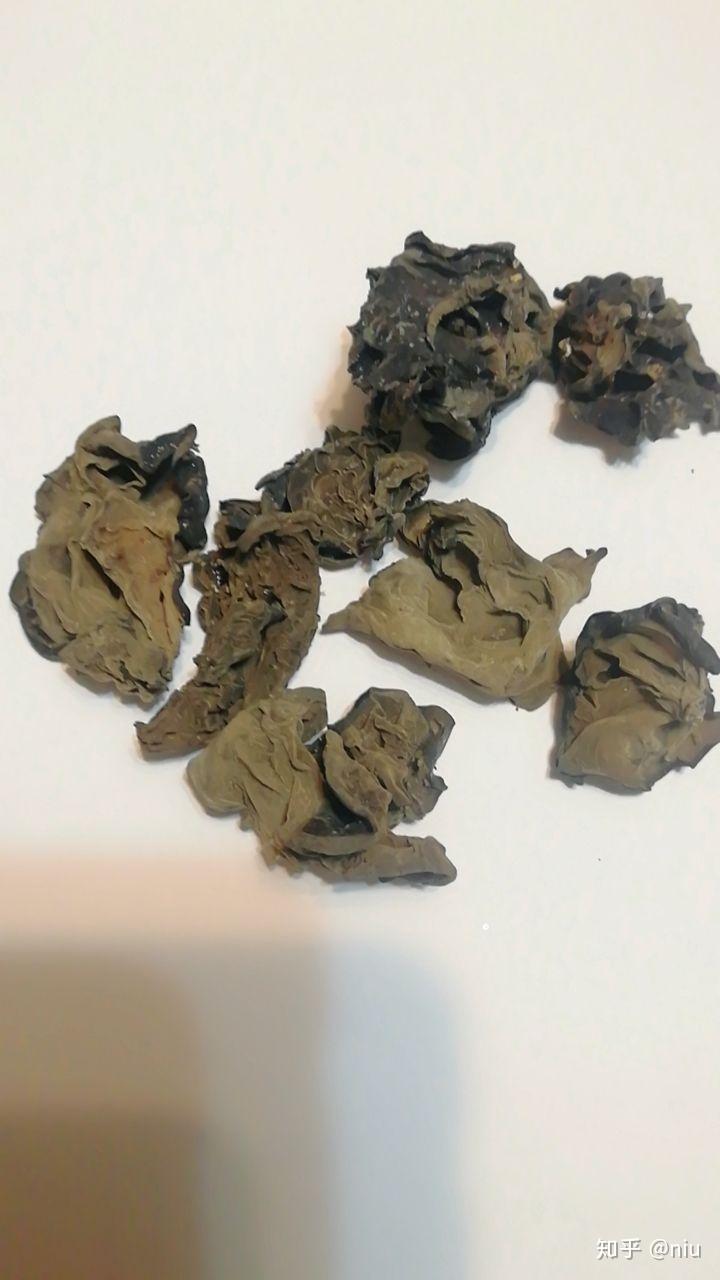 烂木耳长啥样以及烂木耳生产企业有哪些