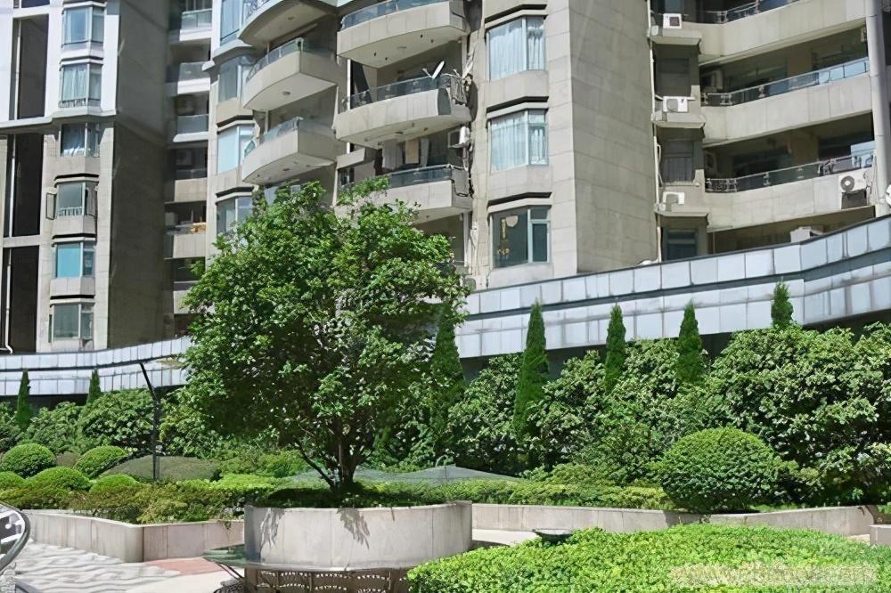 12平的刀片房为何如此火热