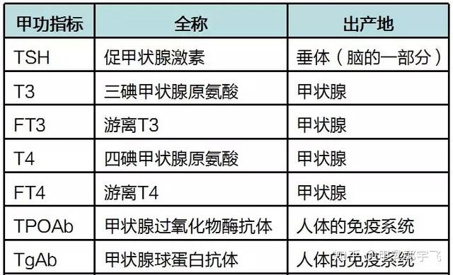 甲状腺功能检查是通过抽血对血液中的甲状腺素进行分析.