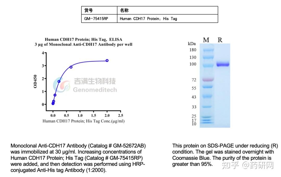 CDH17 ——消化道肿瘤靶点新星 - 知乎