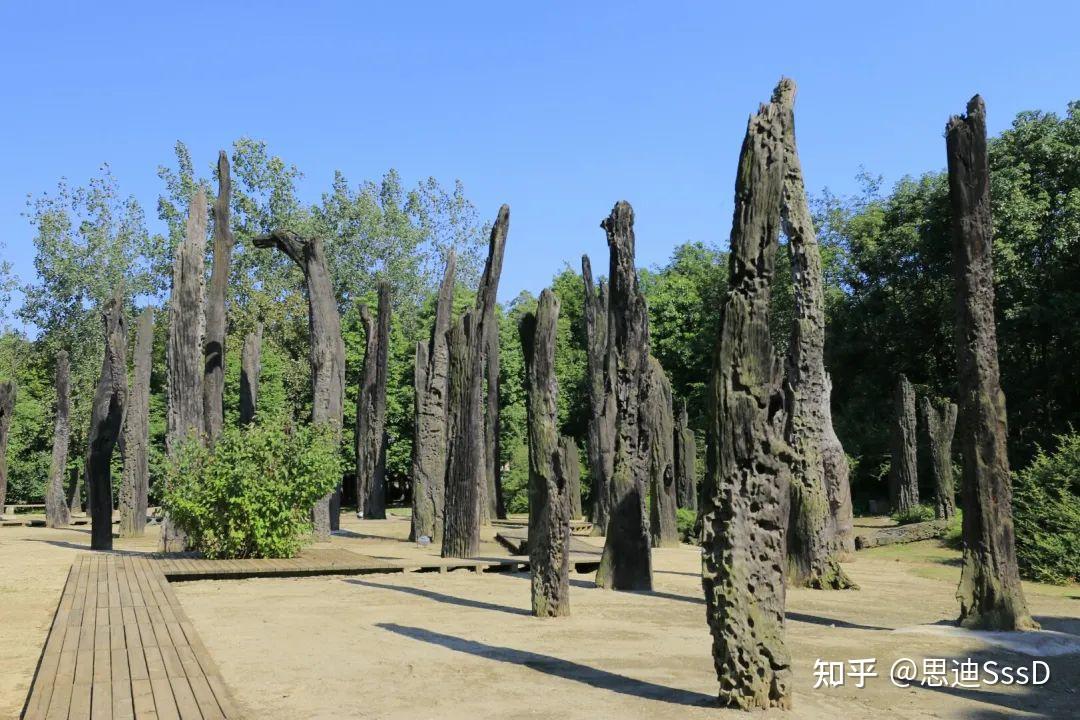 167 | 成都金沙遺址博物館 - 知乎