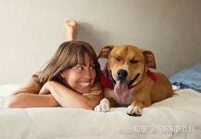 狗为啥喜欢挨着人睡觉 v2-b13d90f71cc680e6029ecc5ed35c0e51_b.jpg