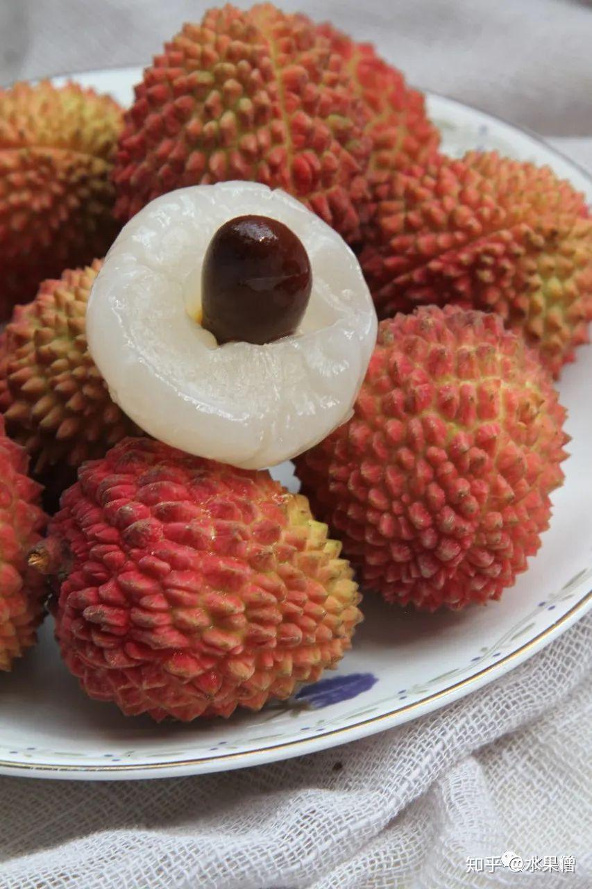 第28篇水果传2推荐桂糯香荔枝