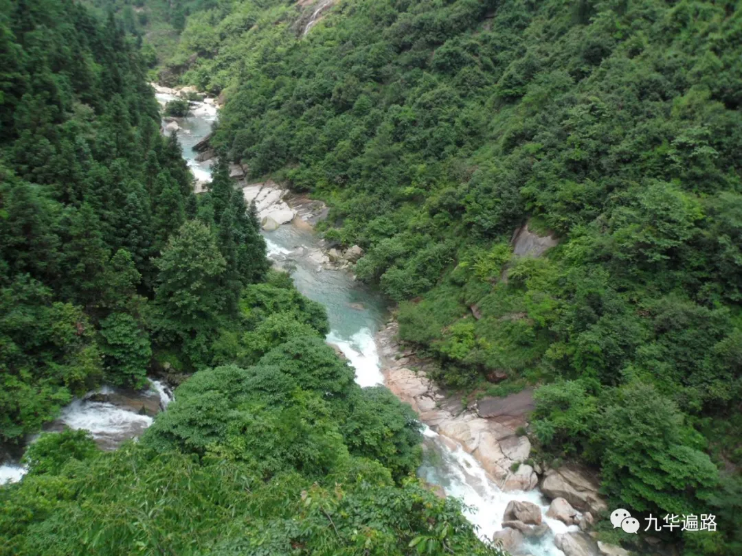 九华山99座寺院之11龙池庵