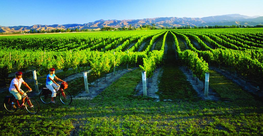 人在国内上学、工作,没有留学经验应该怎么移