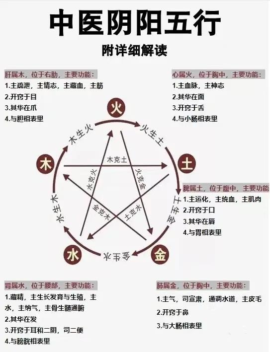 中医针灸2 阴阳五行 - 知乎