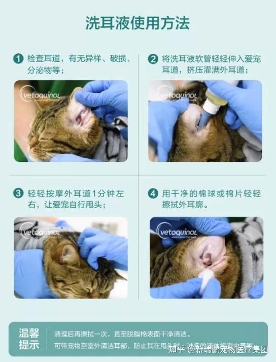 法国威隆 耳肤灵不能少!