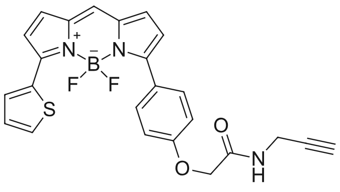 bodipytr氟化硼二吡咯偶联神经酰胺炔烃氨基羧基叠氮nhs酰胫马来酰