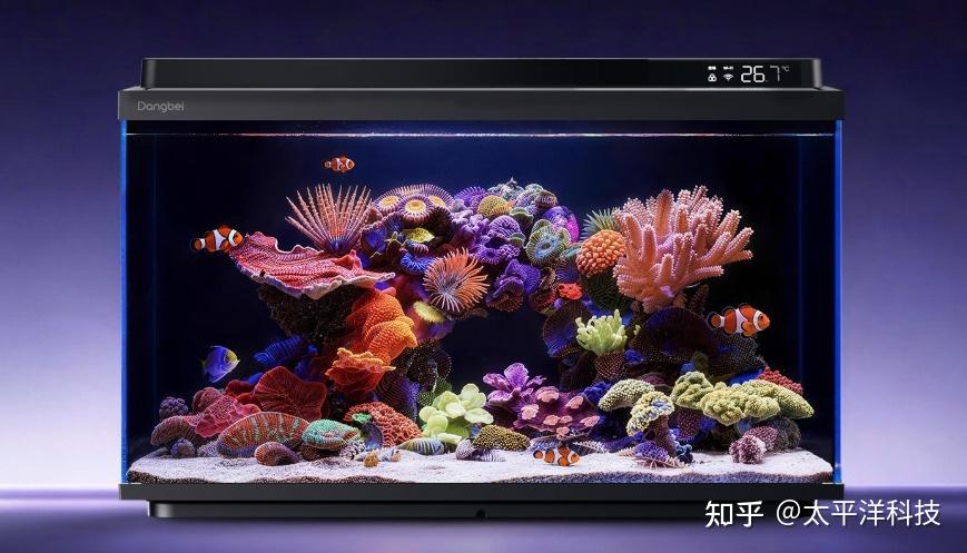 养鱼新手轻松开缸!当贝鱼缸2S Ultra:拍张照,剩下的交给AI
