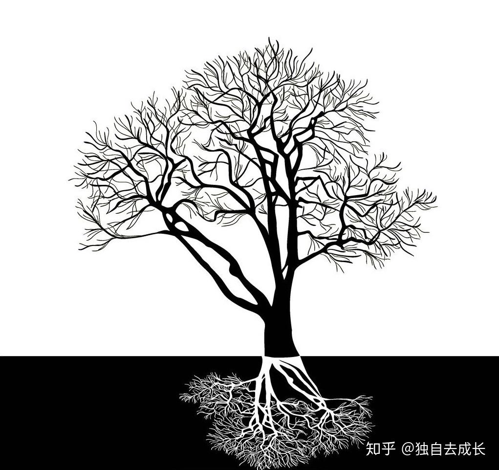 尽早搭建一条丰实的成长技能树让自己所向无敌 - 知乎