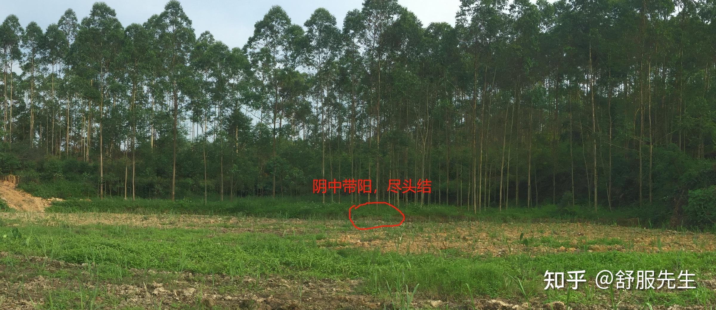 风水宝地(南蛇出洞) - 知乎