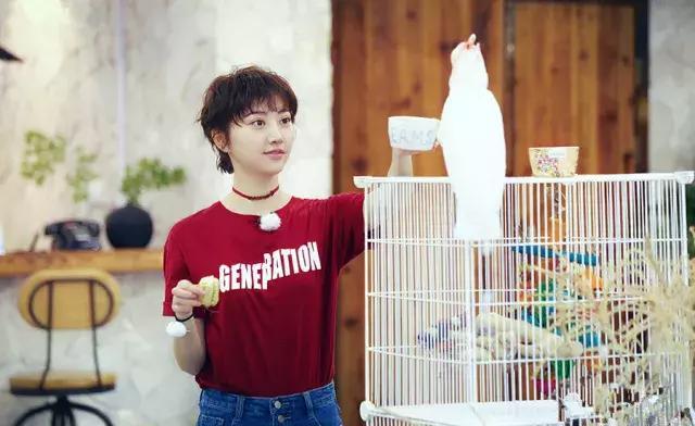 解压综艺青春旅社如何精准击中年轻受众引发情感共鸣