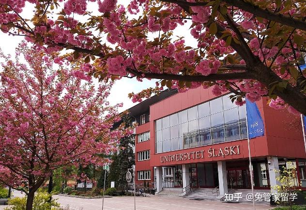 西里西亚大学:波兰教育的光辉里程碑