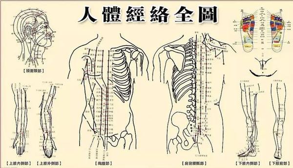 科学发现：中医学经络穴位的来源 - 知乎