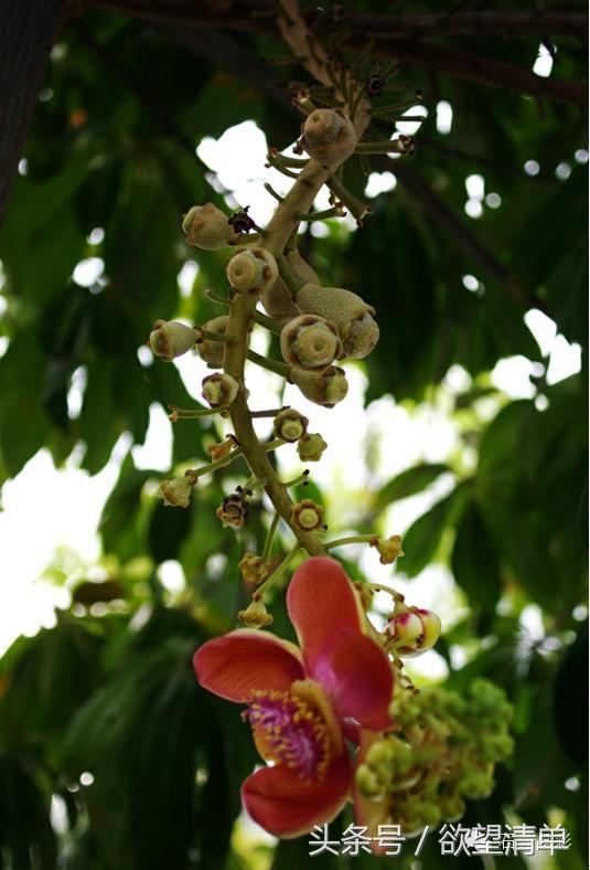 泰好啦释家泰国缘来如此