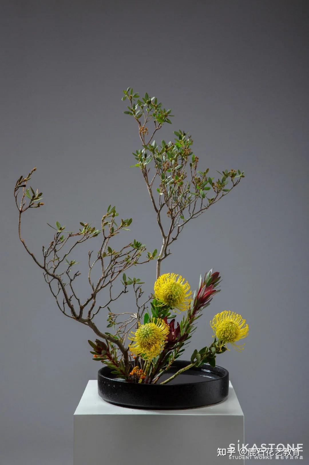 最新草月流作品大片全览 - 知乎