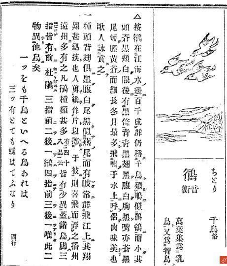 中华神禽志（十三）鴴(上） 中国人忘却的小鸟，日本人却十分珍视- 知乎