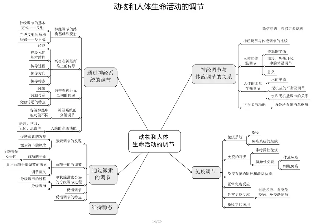 2022高考一輪複習生物資料推薦北京高中生物思維導圖收藏打印