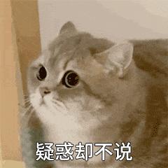 动图封面