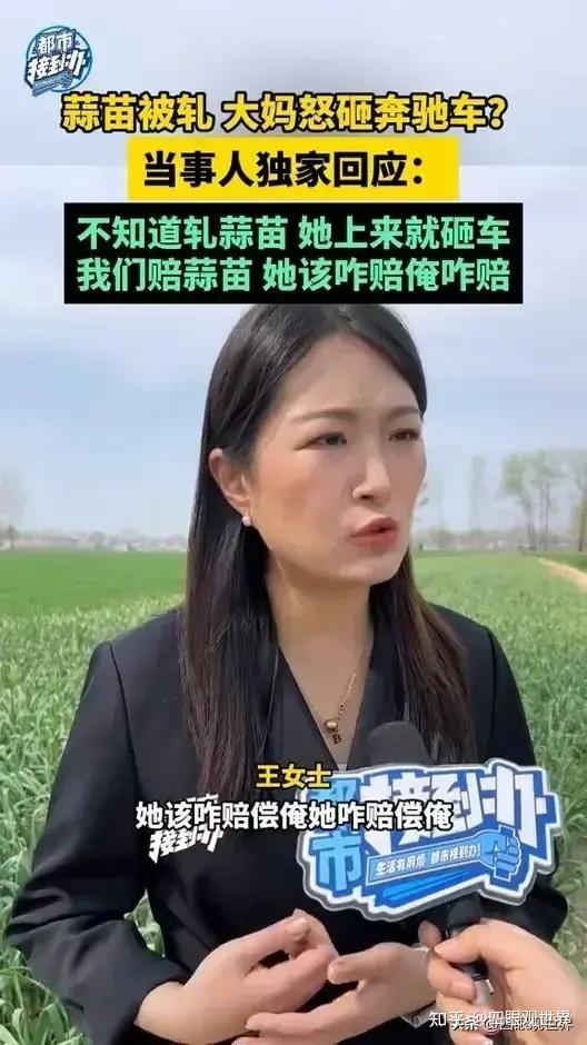 闹翻了奔驰定损37000有机蒜苗定损100500评论区看不下去了