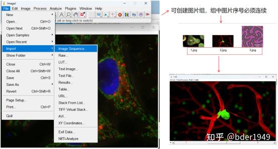 ImageJ分析-基本操作 - 知乎