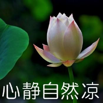 沙雕蓮花表情包