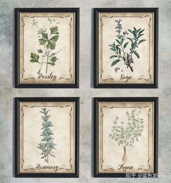 parsleysagerosemaryandthyme