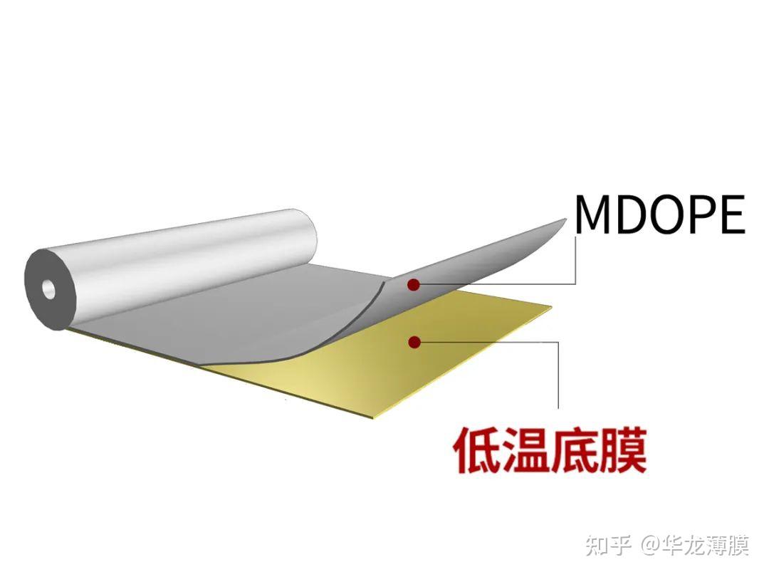 华龙单一材质复合膜斩获行业大奖！ - 知乎