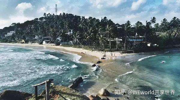 孤儿院支教海龟大象保护志愿者