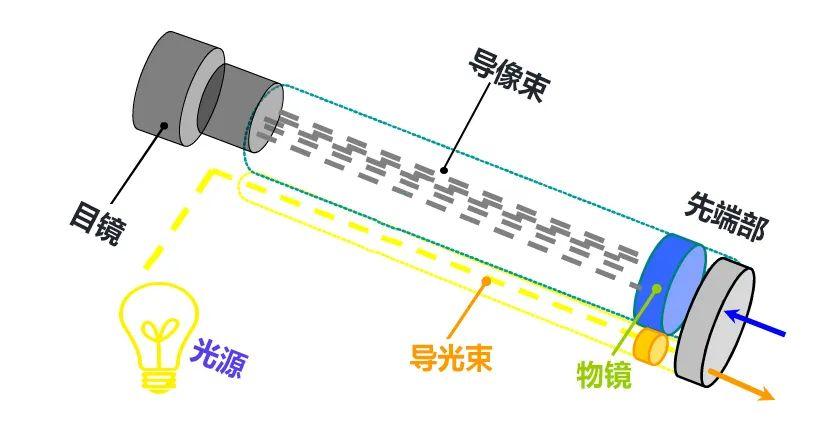 成像原理02纤维内窥镜主要由物镜系统,光学传像系统,观察目镜系统构成