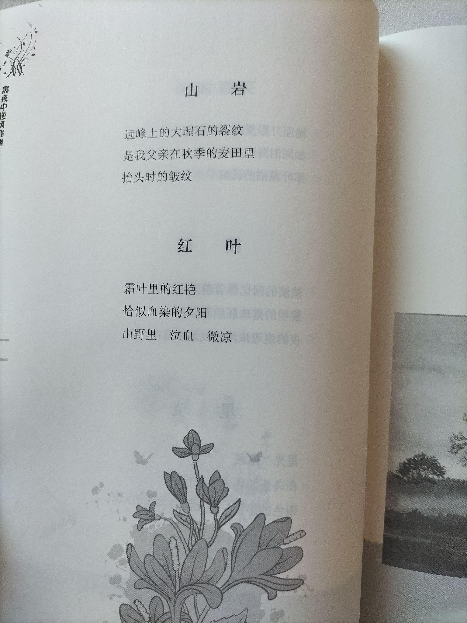 诗海中的漫游者在黑夜中逆风飞翔 - 知乎