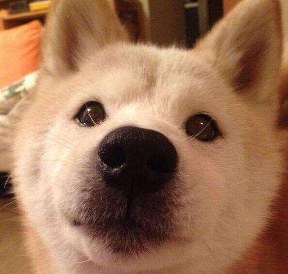 台风下的打工仔